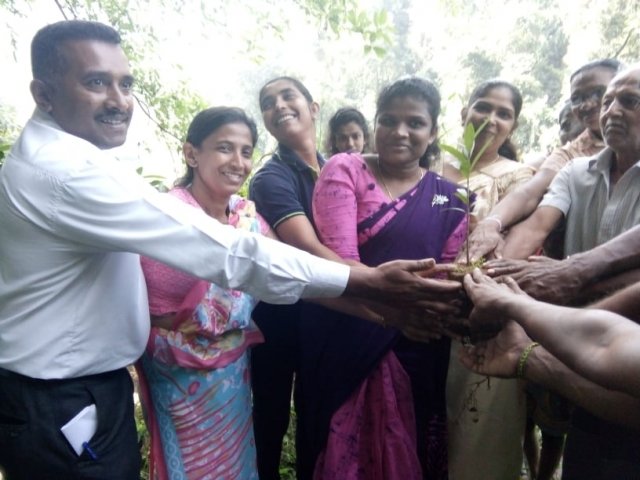 Tree planting program - 2020 (Ruk Ropana)